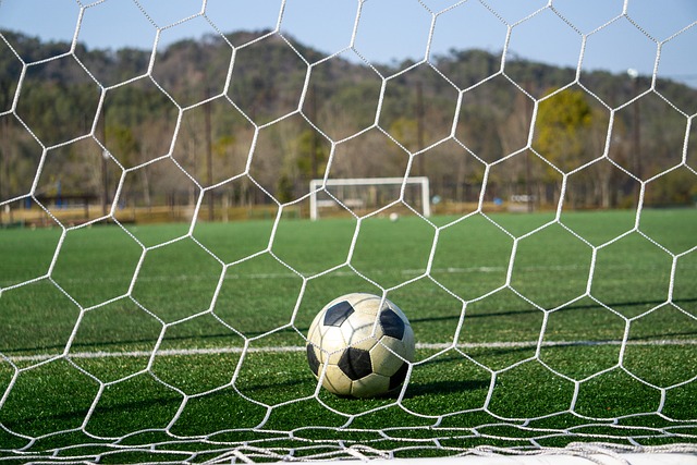 的伤病情况 的伤病情况