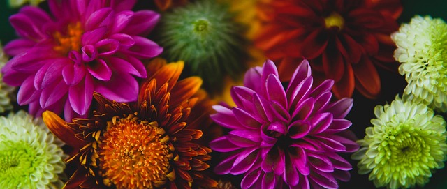 運動競技永 運動競技永