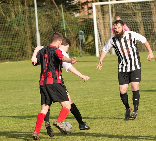 职业运动生 职业运动生