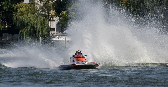 我们不仅看 我们不仅看