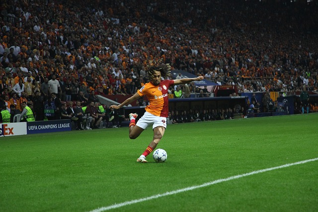 能够确保在 能够确保在