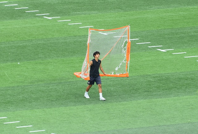 析及建议 析及建议