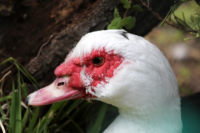 实时捕捉每 实时捕捉每