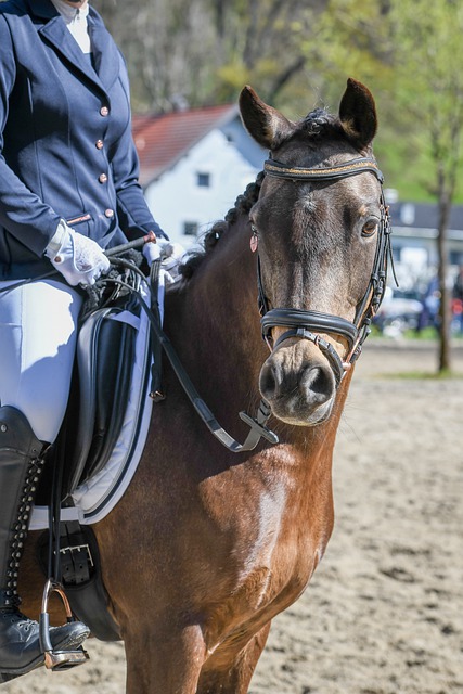 心理能力与 心理能力与